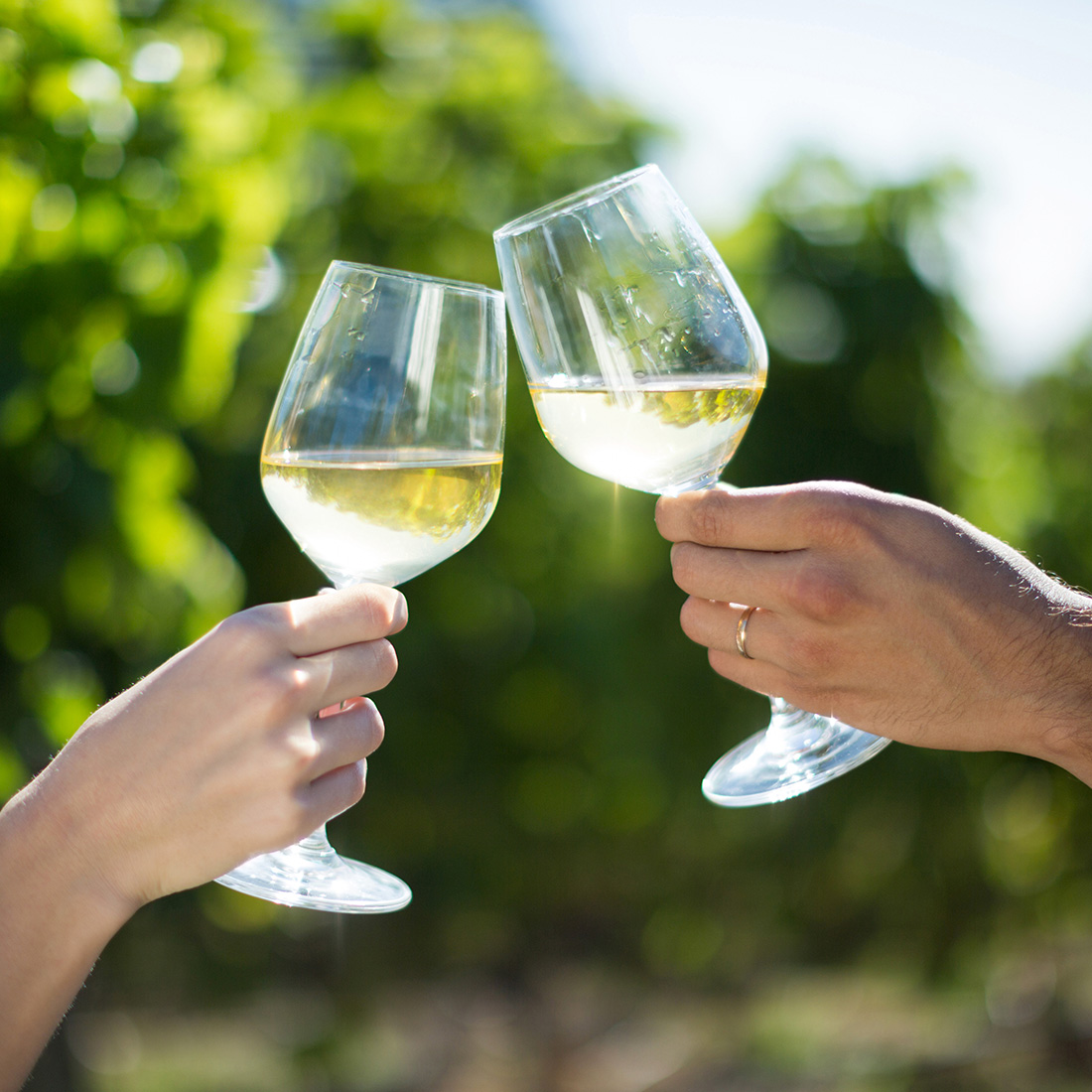Square-Tour-Image-Wine-Coming-Soon